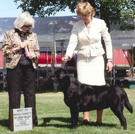 Bandit_BoB_SCVKC_2008